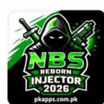 NBS Reborn injector